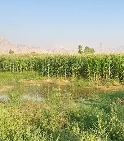 خوزستان221