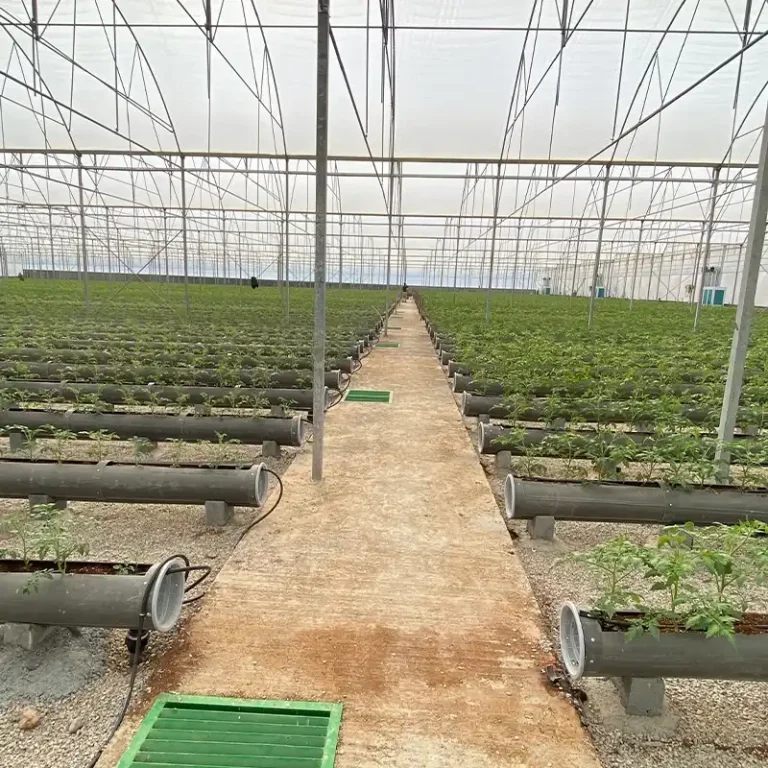 تصاویر پروژه کنترل اقلیم شیروان