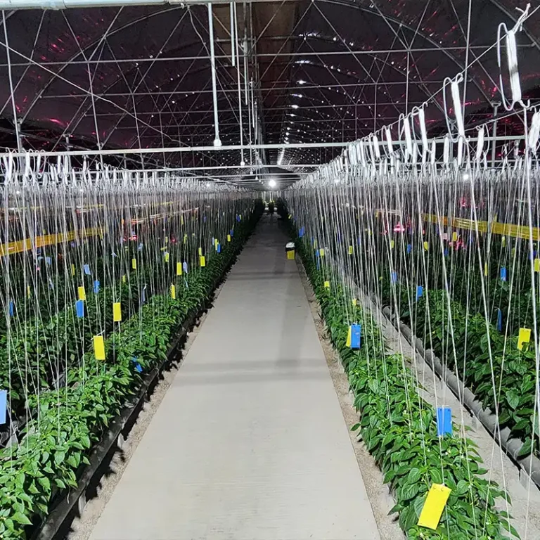 تصاویر پروژه کنترل اقلیم شیروان