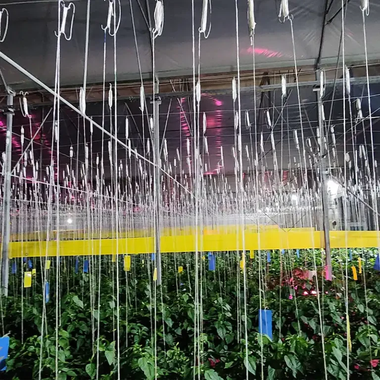 تصاویر پروژه کنترل اقلیم شیروان