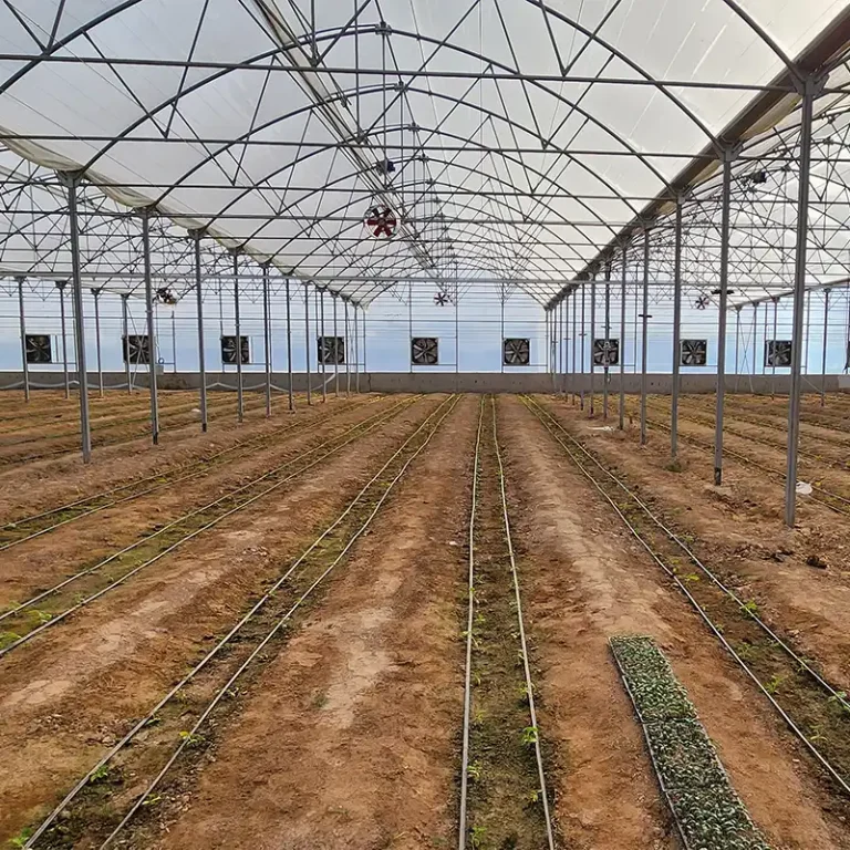 پروژه کنترل اقلیم گلخانه کرج تصویر گلخانه